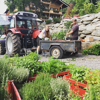Kräutergarten