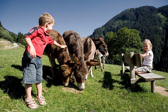Familie Wildpark Aurach