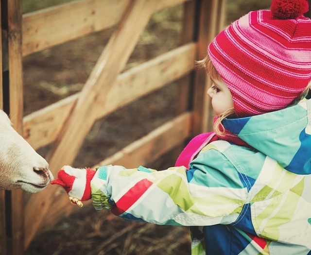 Kinder & Tiere
