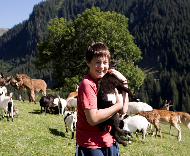 Zwergziegen Wildpark Aurach
